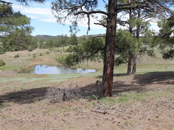2901 County Road 500, Pagosa Springs, CO 81147