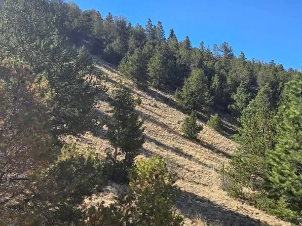 0 County Road 41g (Camero Road), Center, CO 81125