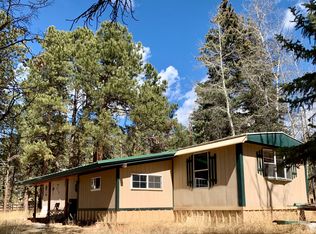 15 Ollie Ct, Woodland Park, CO 80863
