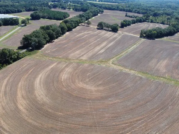 0 County Road 107 #B, Red Level, AL 36474