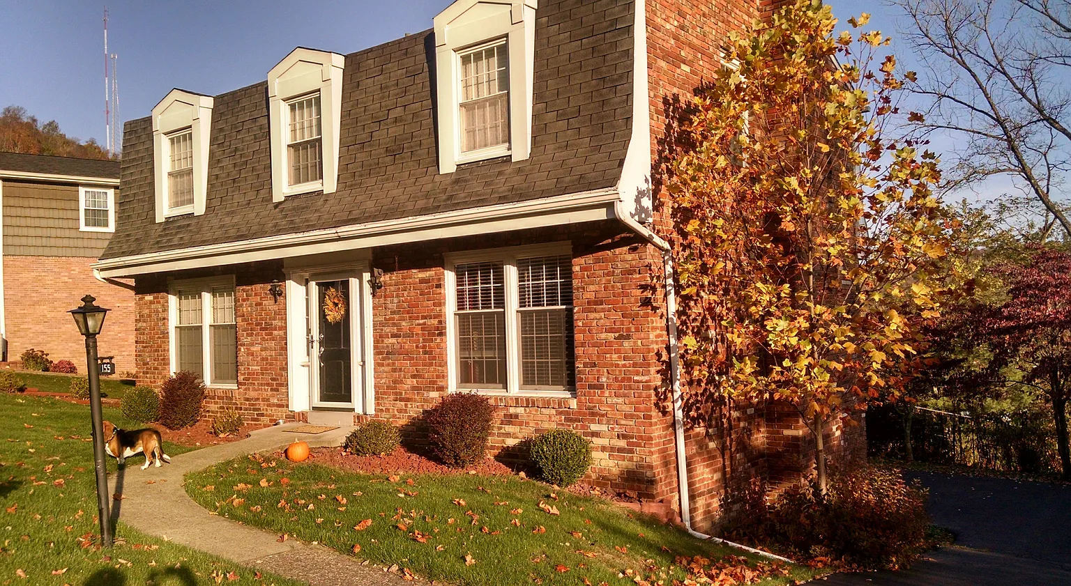 155 Elm Crest Dr photo 1