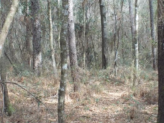 3rd image of Creek Rd Lot 10-RIVER