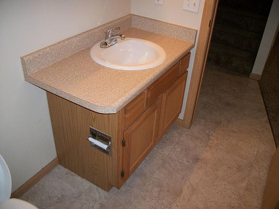 Lower level bathroom