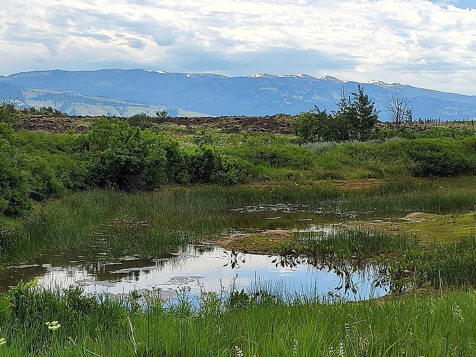 Spring fed pond, Council Mtn