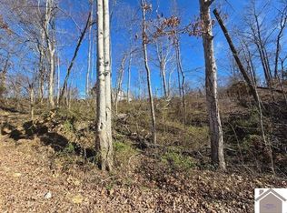 360 Lakeshore Rd #U1-132, Gilbertsville, KY 42044