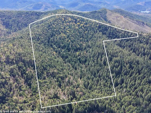 2787 Davis Creek Rd, Selma, OR 97538