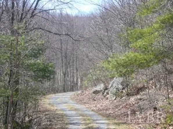 (undisclosed Address), Vesuvius, VA 24483