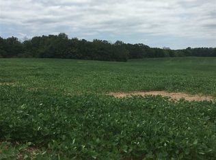 767 Linsdale Rd, Delano, TN 37325