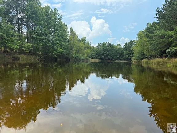 4th image of 1816 County Road 2105