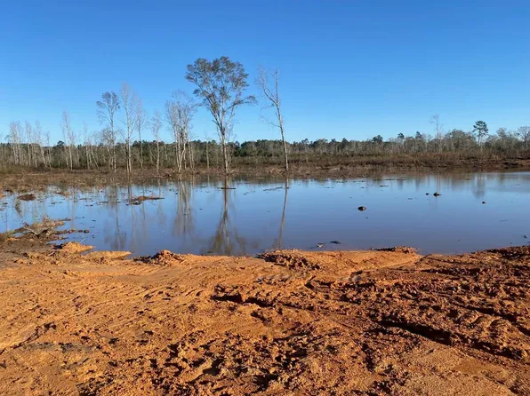 TRACT 2 Blazo Rd, Osyka, MS 39657