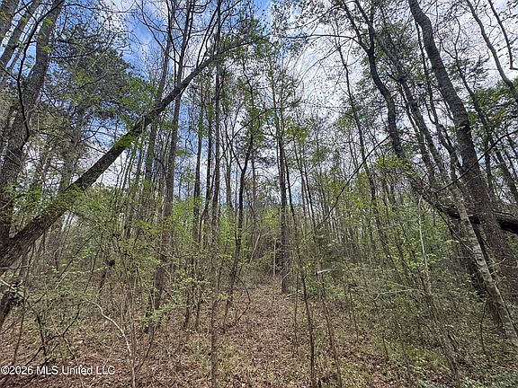 4th image of Stephens Rd