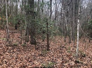 Mitchell Branch Rd, Morganton, GA 30560