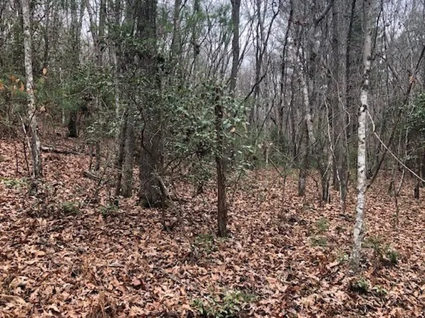 Mitchell Branch Rd, Morganton, GA 30560