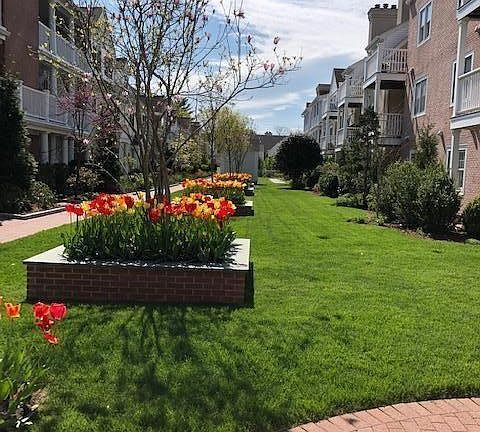 3rd image of 51 Forest Ave APT 75