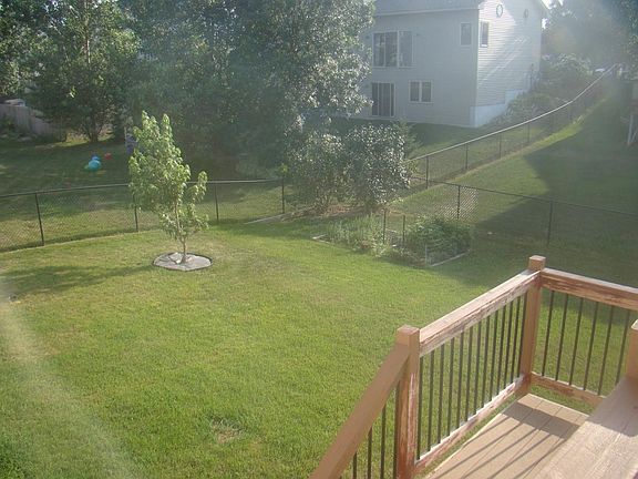 Big back yard and garden area with raspberries