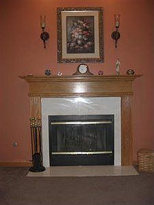 Fireplace in Family Room