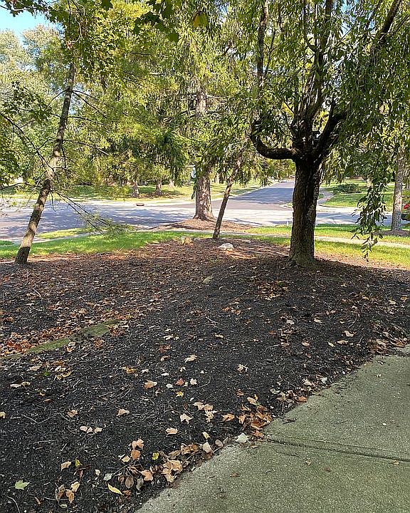 View from patio 