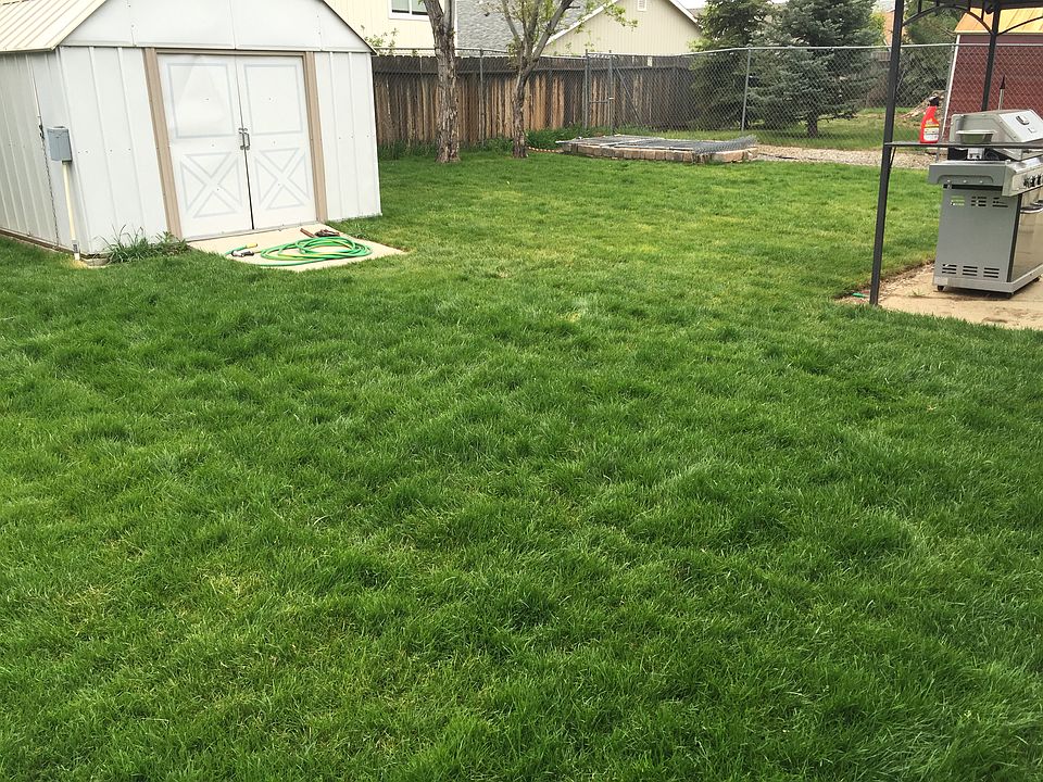 2nd image of 11200 White Sage Dr