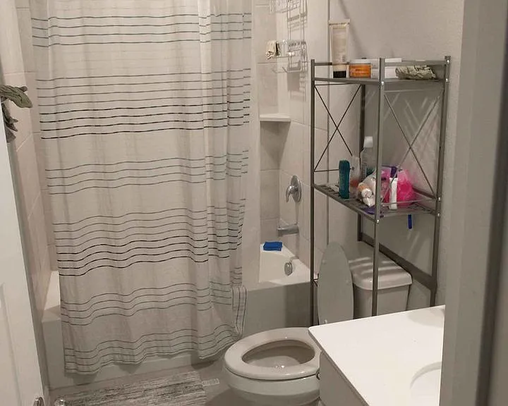 144 Plumed Thistle Dr — Photo 10