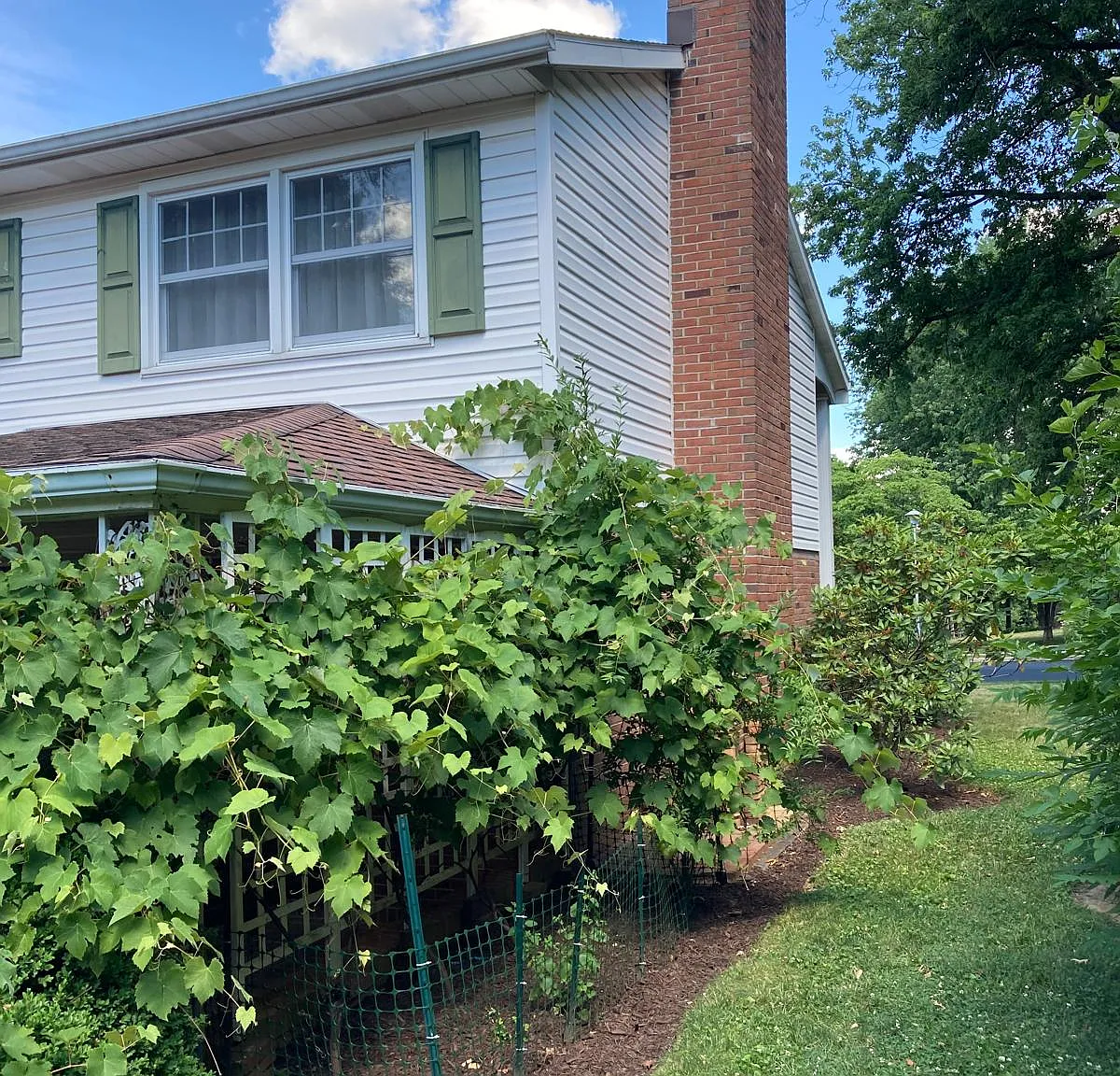 54 Sycamore Ln — Photo 2