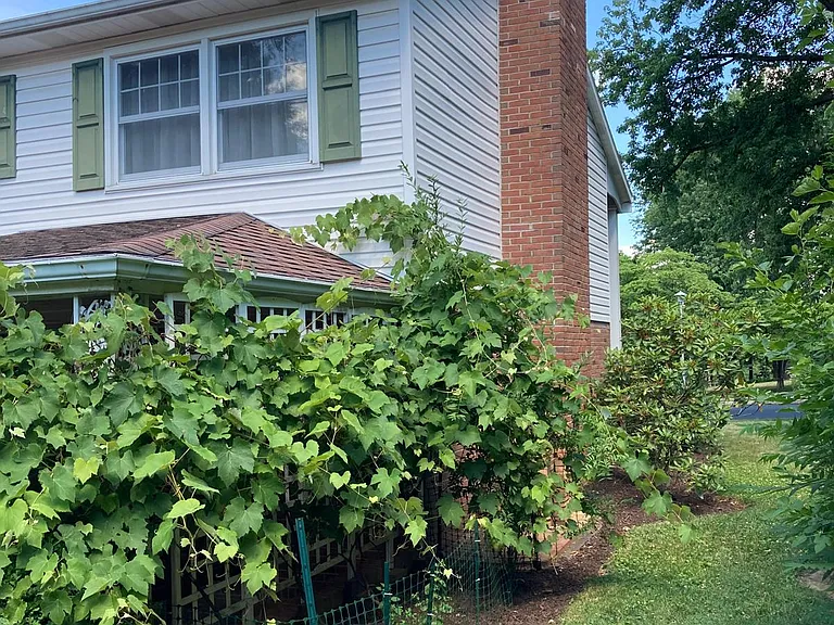 54 Sycamore Ln — Photo 3