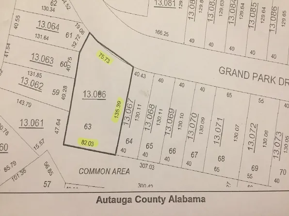 207 Grand Park Dr, Deatsville, AL 36022