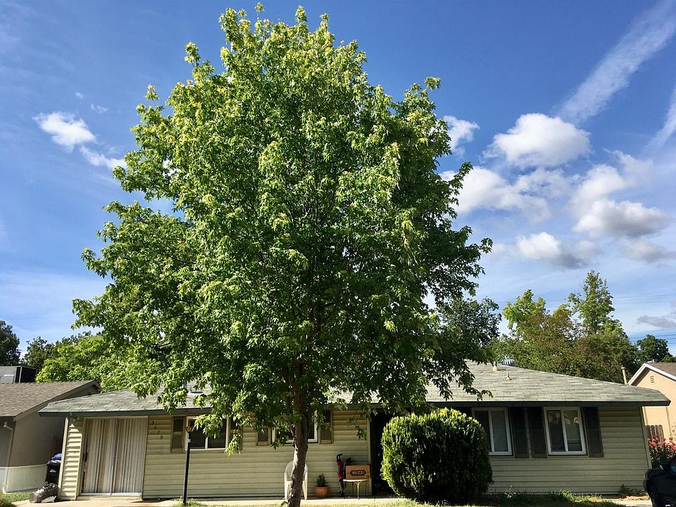 2nd image of 3429 Humboldt Way
