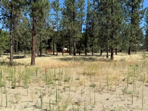 LOT 14 Long Lake Estates Est, Nine Mile Falls, WA 99026