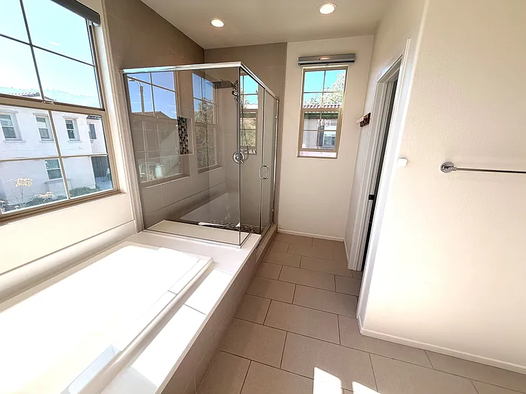 Master Shower View #2