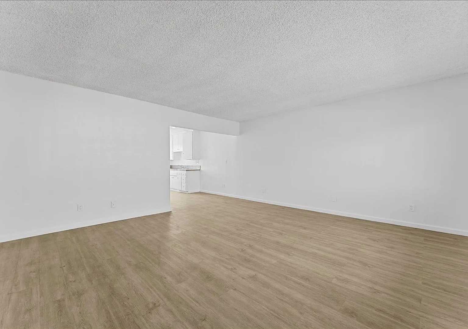 Affordable Three Bedroom Apartment! — Photo 2