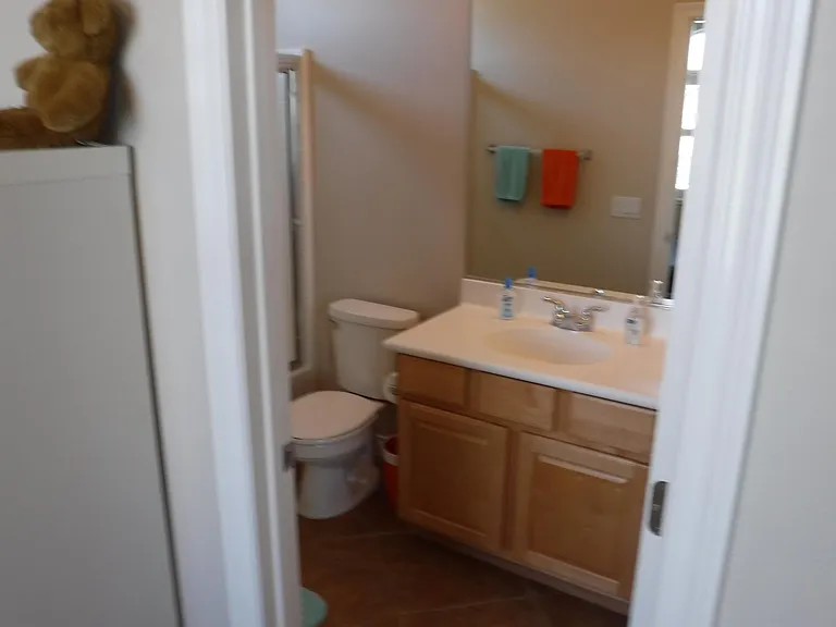 24279 Golden Mist Dr — Photo 7