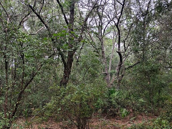 4th image of 5210 CO RD 214
