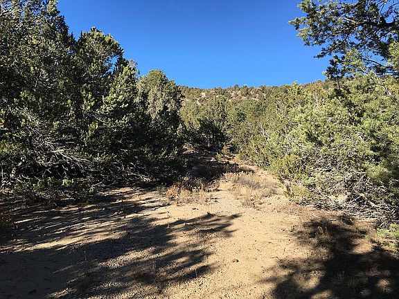 2nd image of 213 Pinon Trl
