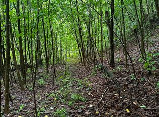 2041 Cat Creek Rd, Stanton, KY 40380
