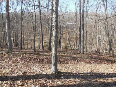 801 Wildflower Valley Rd, High Ridge, MO, 63049
