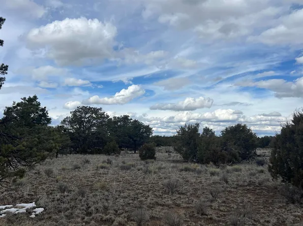 Native Drum Pass, Fence Lake, NM 87315