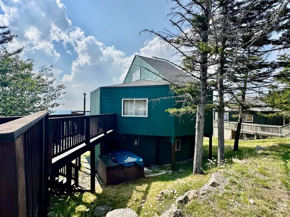 82 Sundowner Dr, Snowshoe, WV 26209