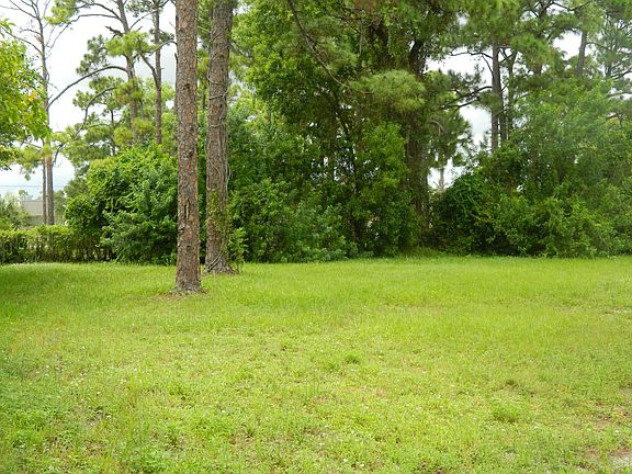Side Yard