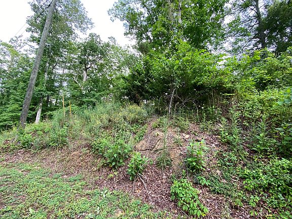 3rd image of LOT 54 Wingspan Dr