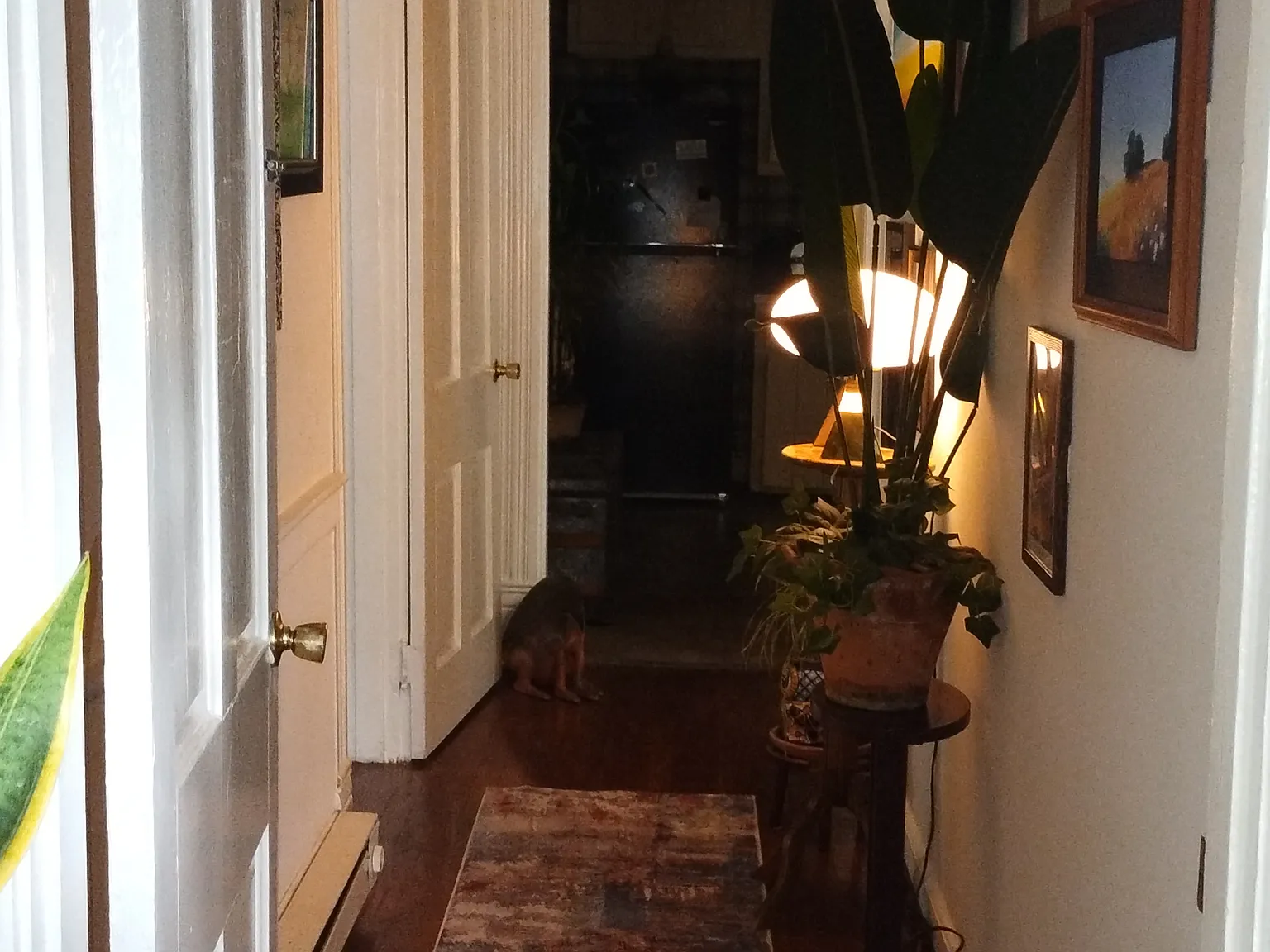 2 bed, $900 — Photo 3