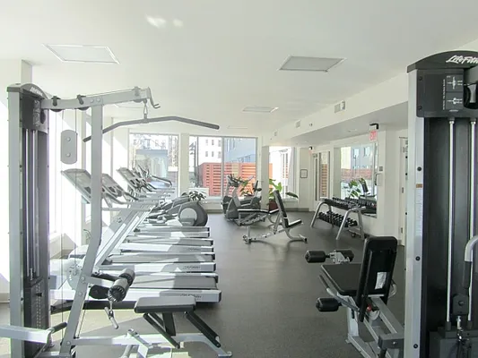 Rented by Citi Habitats | media 52