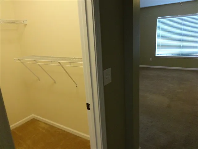 11905 Pikeville Ct — Photo 8