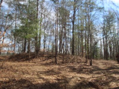 638-639 Nugget Ct, Ellijay, GA, 30540