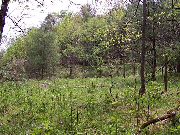 2nd image of #1 Pine Mountain Road #Dixie Road