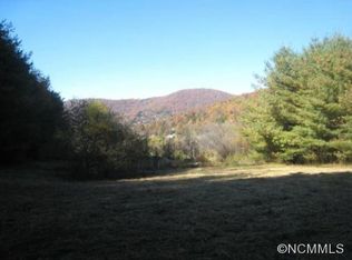 6 Rice Branch Rd, Asheville, NC 28804