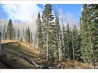 4th image of 48 White Pine Canyon Rd