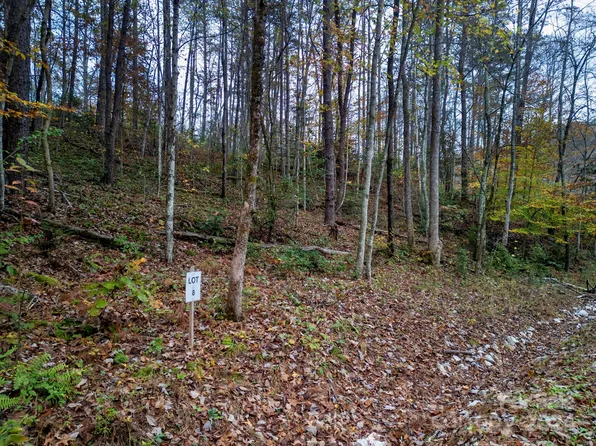 64 Cherry Cove Way #8, Old Fort, NC 28762