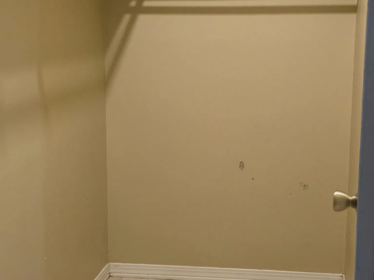 2 bed, 1130 sqft, $1,800 — Photo 3