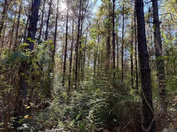 25 Bobcat Ln, Amite City, LA 70442