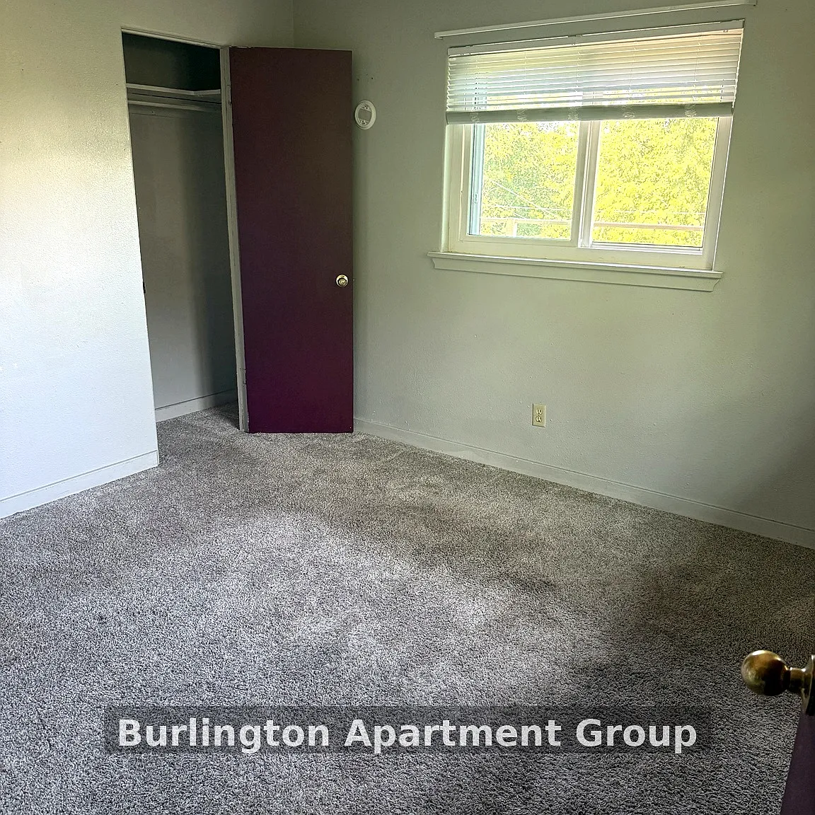 1 bed, 644 sqft, $650 — Photo 4